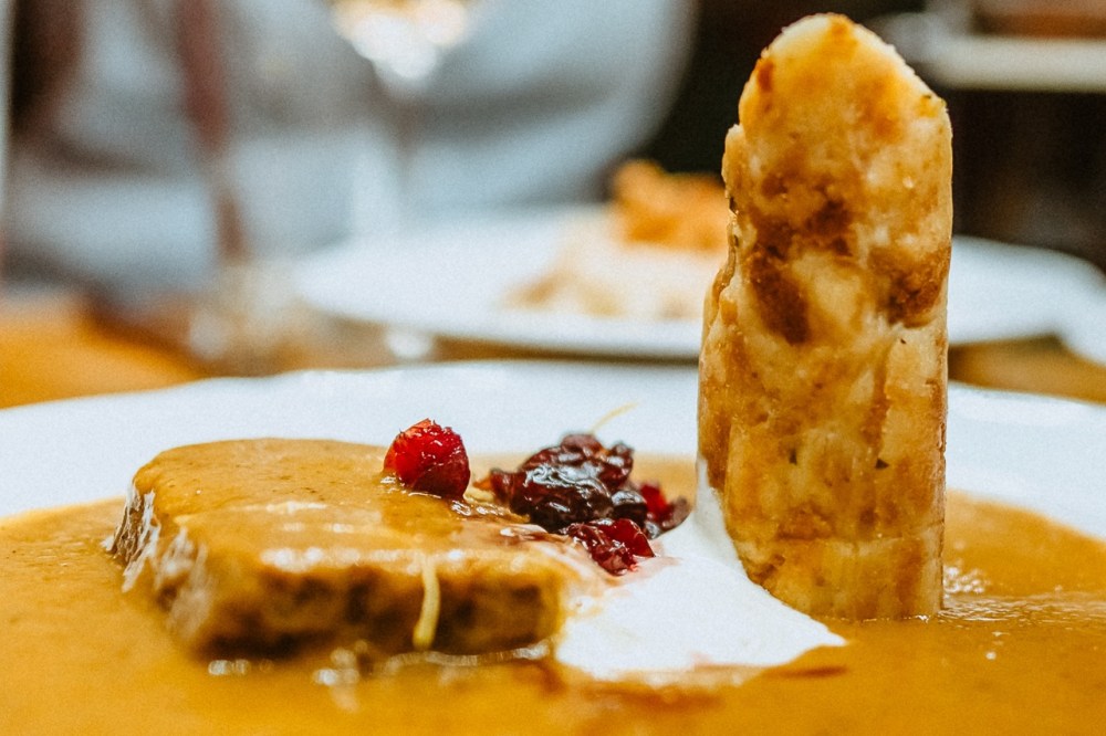 a close-up of a traditional Czech svickova with a dumpling