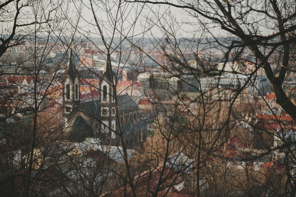 a panoramic view of the Karlin neighbourhood seen from above from a hill, obstructed slightly by tree branches